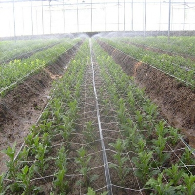 喷水管菜园用大棚蔬菜滴u黑带滴管灌管微喷带6分主管3寸喷灌