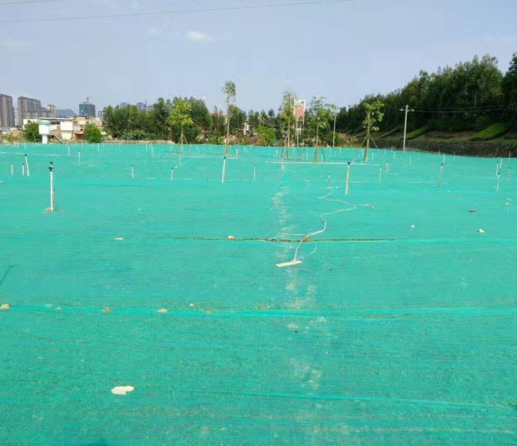 高档绿化植防无纺布盖草籽绿透农用地膜保湿m透水色气膜草航拍奢