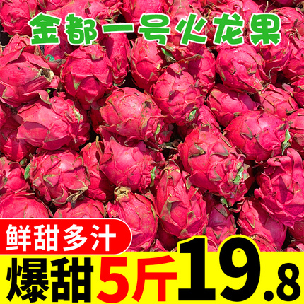 海南火龙果 红心水果新鲜当季大果红肉金都一号5斤整箱现摘现发10