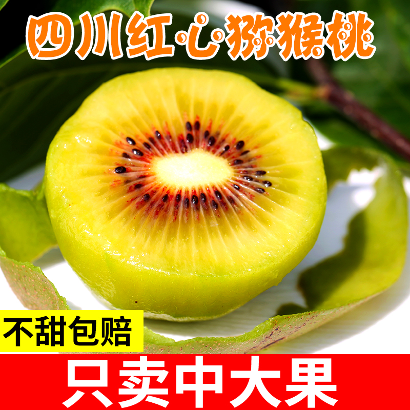 四川新鲜奇异果当季水果孕妇红心猕猴桃正宗狝弥猴桃大果整