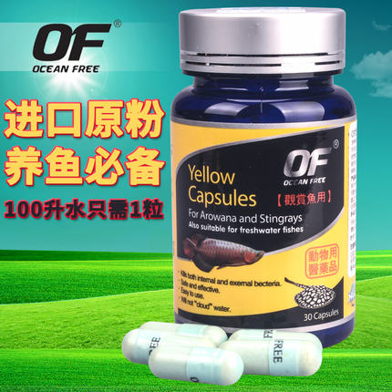 进口仟湖黄粉 鱼药 白点净烂尾肠炎金鱼锦鲤龙