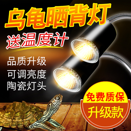 乌龟晒背灯uva+uvb全光谱太阳加热灯泡加温保温补钙杀菌套装迷你