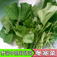 蔬菜彩袋苋菜寒菜汗菜种子红苋菜白苋菜冬寒菜