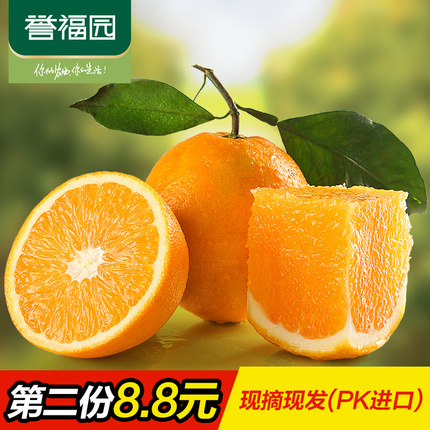 【誉福园】新鲜水果橙子 现摘秭归纽荷尔脐橙