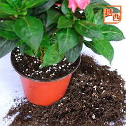 包邮越西天然有机土天然纯泥炭土草炭土营养土