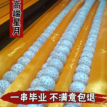 海南籽毛感料星月菩提子情侣手链项链精品108颗佛珠 高密正月男女