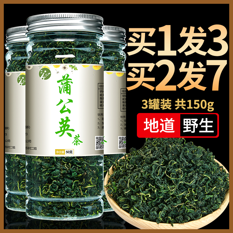 3罐装蒲公英茶根婆婆丁浦公英带根干非新鲜整株天然正品特级野生 - 封面