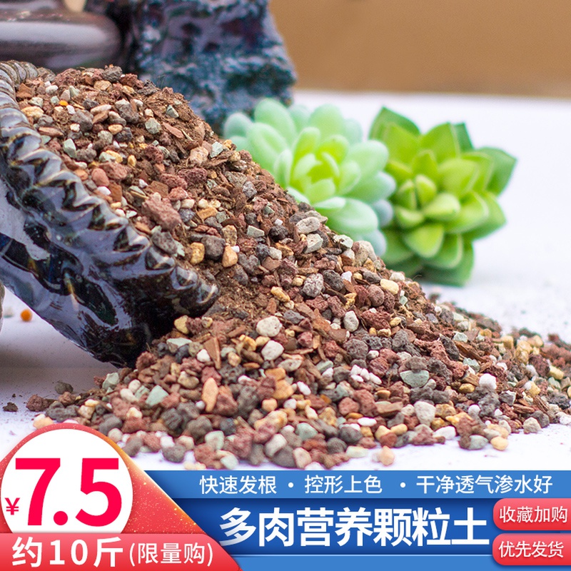 多肉植物营养土透气纯颗粒肉肉种植专用叶插土壤泥炭通用型铺面石 - 封面
