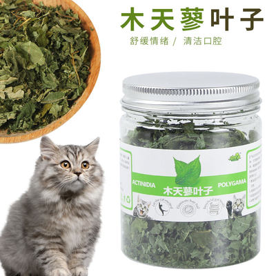 Solidgold素力高金装无谷金素全猫粮成幼猫主粮12磅现货正品防伪 虎窝淘