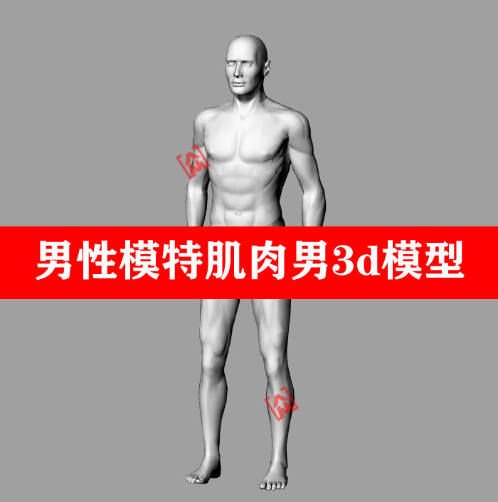 男性模特肌肉男人物姿势人体犀牛maya 3dmax c4d 建模Rhino模型 - 封面