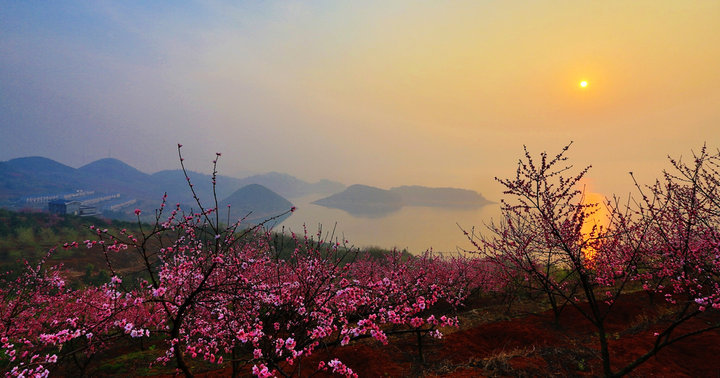 桃花岛必游的旅游景点