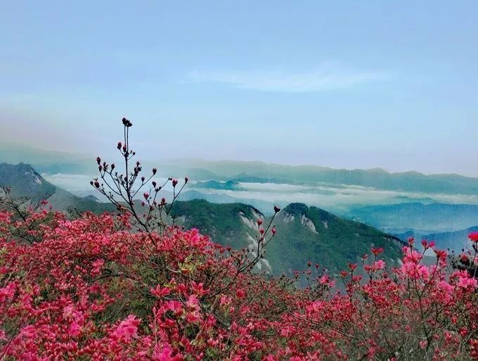 旅游攻略 - 麻城这些景点你知道吗? - 飞猪