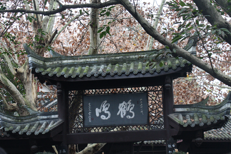 人民公园处处种植着成都这座城市最喜爱的银杏树,也在门口种满了色彩