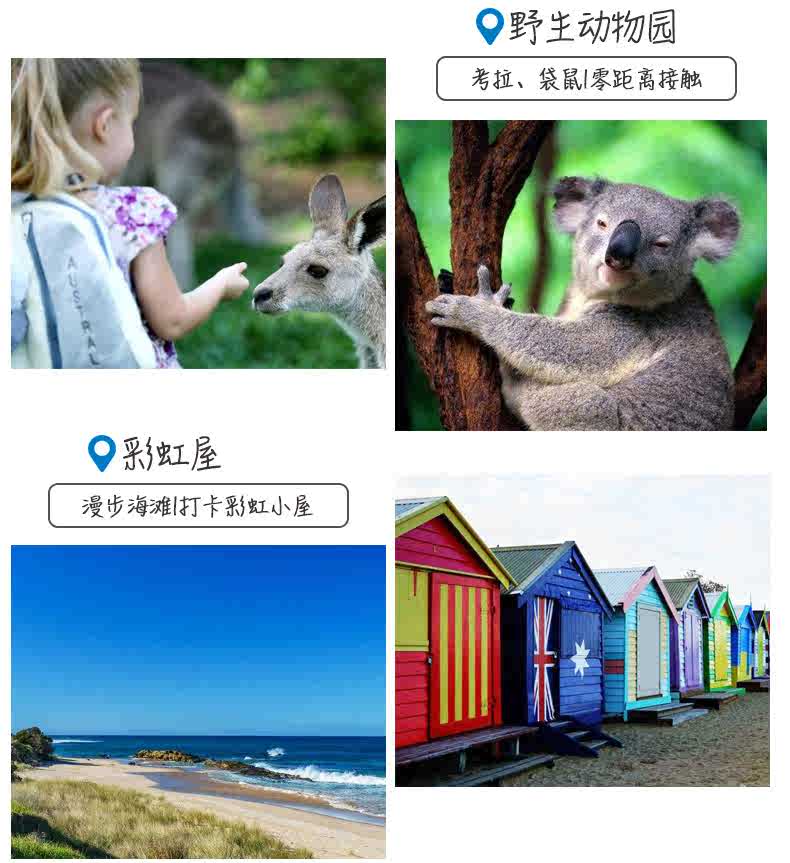 宏城旅游 澳大利亚墨尔本企鹅岛蒸汽小火车亲