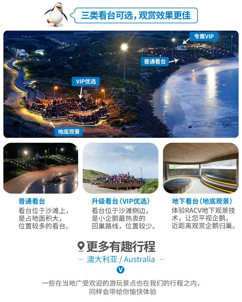 宏城旅游 澳大利亚墨尔本企鹅岛蒸汽小火车亲