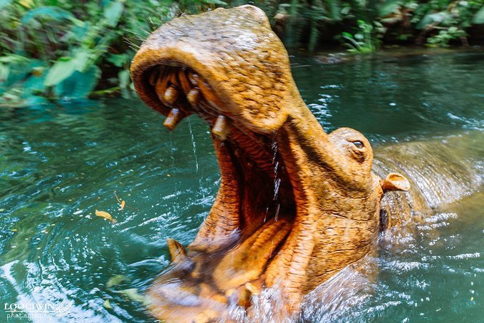 【随笔】 香港：迪斯尼童趣