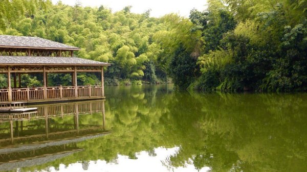 春节蜀南竹海v攻略全攻略【江安县攻略密室】攻略逃脱118全集大游记图片