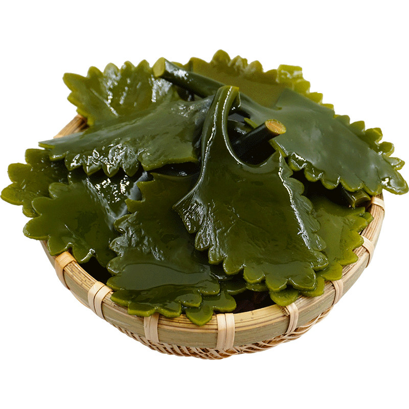 溢源海带头5斤新鲜盐渍海带头花非特级海带根特厚非干货火锅食材