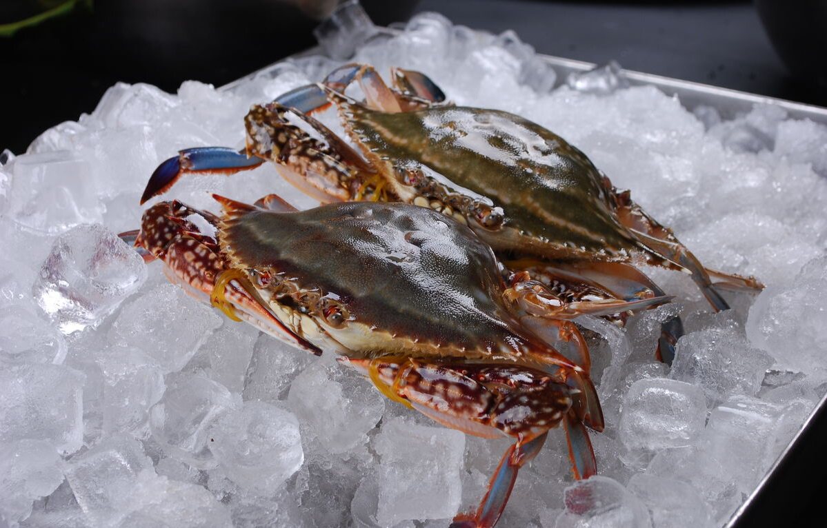 盒马鲜生推无绳版螃蟹,刷新零售水产标准