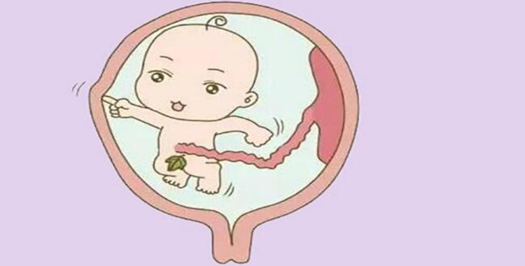 母婴丨胎儿在妈妈肚子里都做什么?真的好有趣!