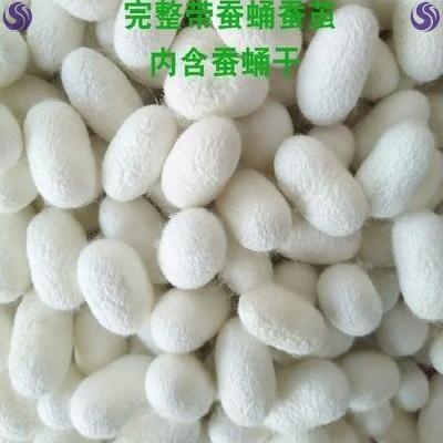 茧清黑头蚕茧手指套桑黑茧去洁蚕头o桑蚕茧壳洗脸美肤