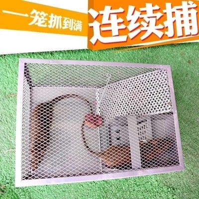逮捕笼子