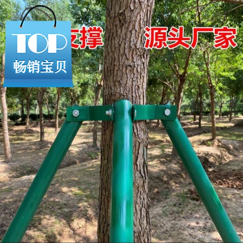 i庭院g树木支撑架黄绿色大w树顶直固定器杉木乔木金属树支撑景区