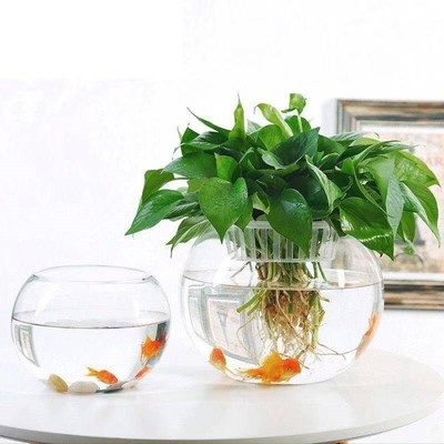 简约透明玻璃花瓶水培植物绿z萝花盆鱼缸养花鱼缸玻璃花盆.