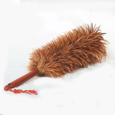 鸡毛掸子大号加厚图片