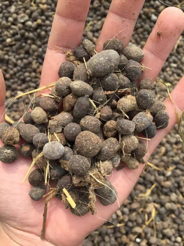 肥料鸡发羊粪肥蛋酵有机肥盆栽兰花肥i蔬菜果树肥包邮羊粪粪营养