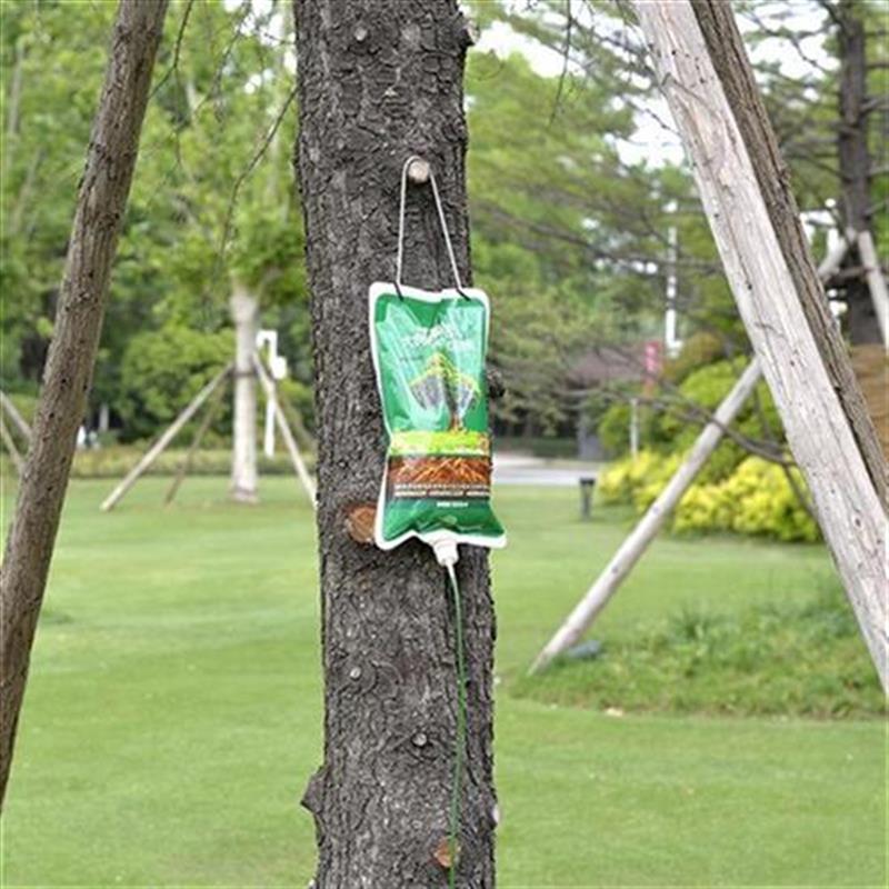 Boxwood plant Big tree Nutrition SAP GG Grow Big tree Lifting pin Infusion bagsin the Agricultural goods , gardens Conserve material, Big tree Nutrition Lifting pin injection category - from Buy2taobao.com to provide professional Taobao agent buy service
