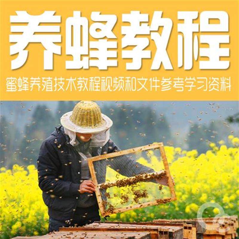 新蜂蜜养殖技术养蜂养蜂视频蜜蜂j养i殖技术视频中蜂养殖