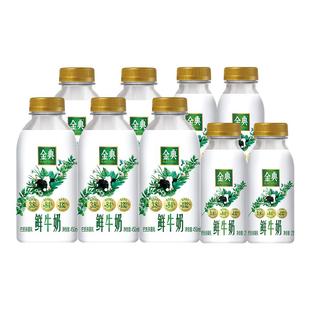 伊利金典鲜牛奶235ml*8瓶+高钙鲜奶235ml*4瓶鲜活营养早餐奶