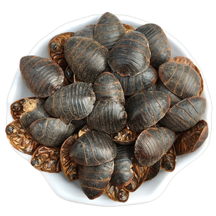 珈祁堂土元500克土鳖虫干品土元