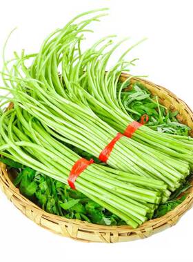 新鲜芦蒿当季蔬菜去根去叶农家黎蒿篱蒿藜蒿嫩泥蒿蓠蒿漓篙离蒿苔