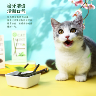 猫玩具猫薄荷木天蓼逗猫棒幼猫小猫磨牙棒咬猫猫自嗨猫咪用品大全