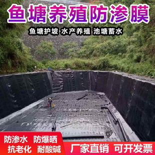 鱼塘防渗膜鱼池护坡防水布养殖专用土工膜黑色塑料布覆合加厚地膜