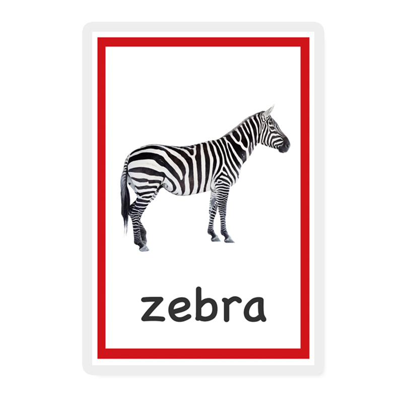英语卡片闪卡animal动物卡72张儿童实物图单词卡早教