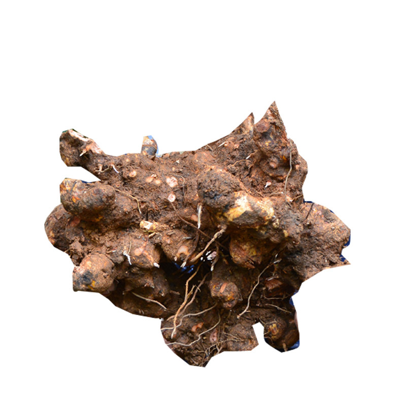 深山金刚藤头500g菝葜铁菱角冷饭头铁刺苓金刚根草药无硫煲汤干货