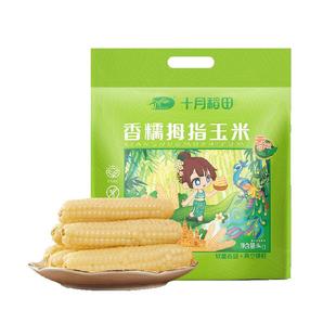 十月稻田云南西双版纳香糯拇指玉米甜糯玉米粗粮真空包装早餐