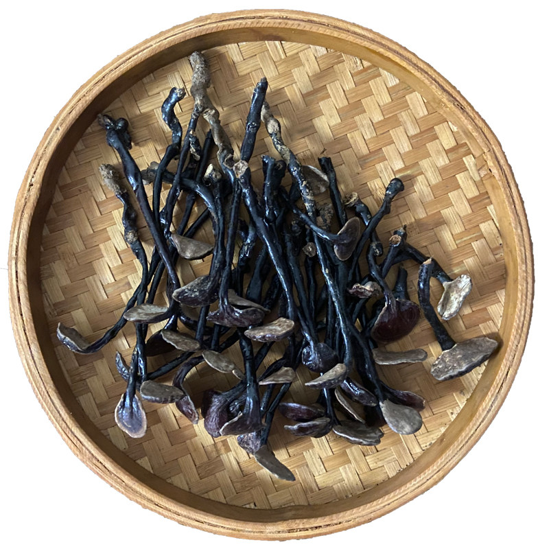 海南灵芝特产整枝竹灵芝 山野可切片散装正品整棵林芝