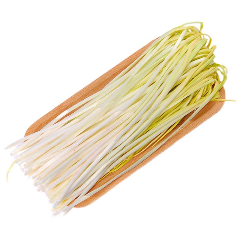 韭黄种籽黄韭菜种子蔬菜种孑韭菜籽秋冬季四季耐寒农家菜种籽包邮