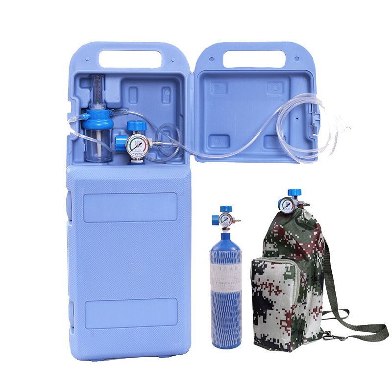 氧气瓶医用便携式2/4升家用小型氧气罐制氧机救急户外手提供氧器