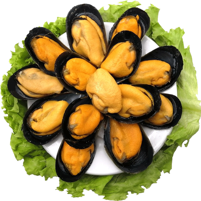 星渔鲜活海虹海鲜水产贻贝蓝口贝青口贝淡菜山东日照特产1份2.