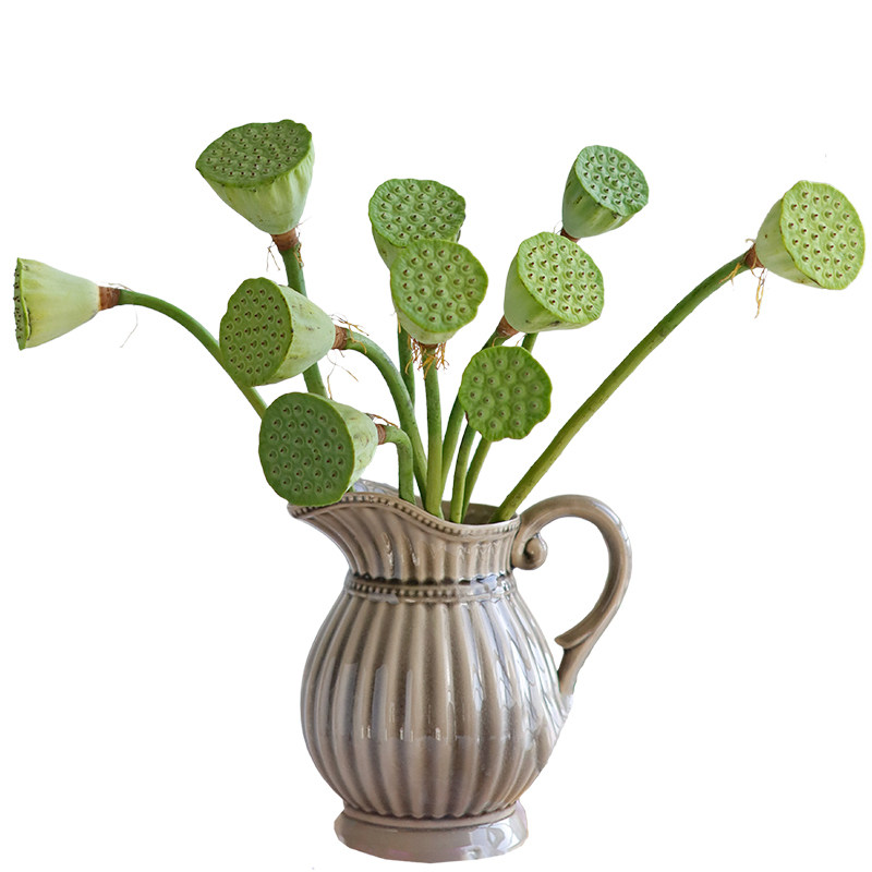 荷花莲蓬鲜花家养供佛插花办公室花束低价包邮北京同城可闪送追逸