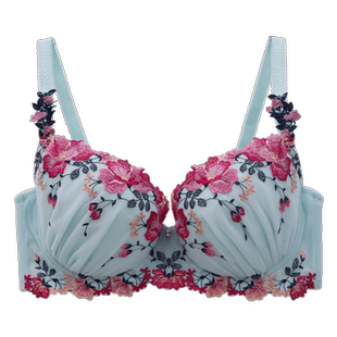 2020春夏新品日本女士可爱印花蕾丝刺绣文胸内衣b-f杯 - narue旗舰店