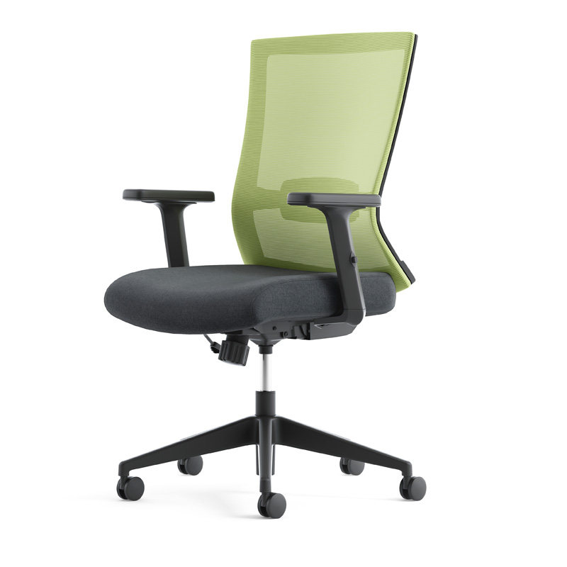 圣奥办公椅久坐护腰人体工学椅子家用舒适电脑椅艾伦旋转升降座椅