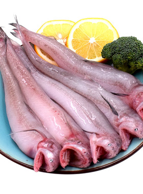 舟山新鲜九肚鱼 豆腐鱼龙头鱼水潺鲜活海捕海鱼冷冻海鲜水产3斤装