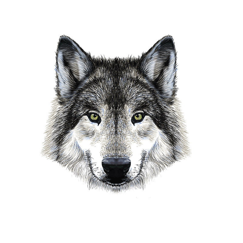 汽车贴纸3d立体贴防水划痕装饰遮挡车身创意个性汽车狼头贴画车贴