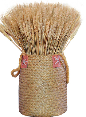 天然草编花篮海草编织篮子花瓶花盆大麦穗芦苇干花田园风装饰摆件